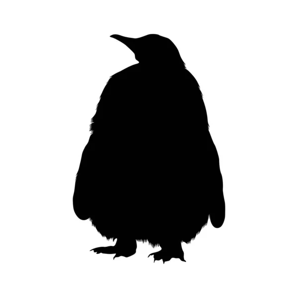 Standing King Penguin Aptenodytes Patagonicus Front View Silhouette Found Antartica — Archivo Imágenes Vectoriales