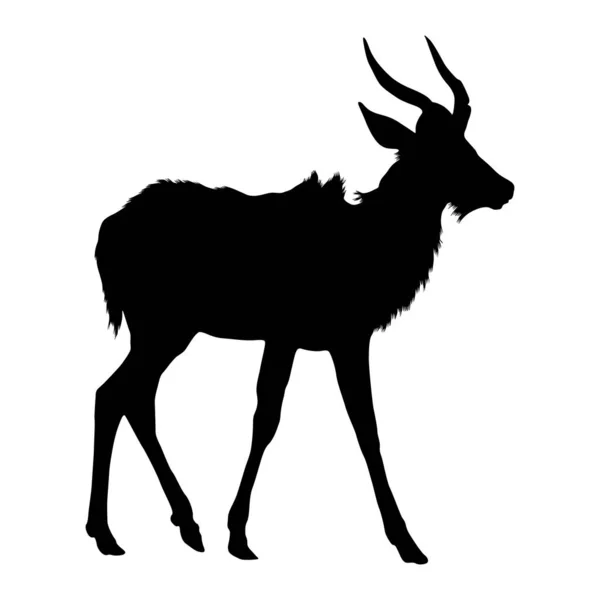 Standing Kudu Antelope Tragelaphus Strepsiceros Side View Silhouette Found Southern — Stockový vektor