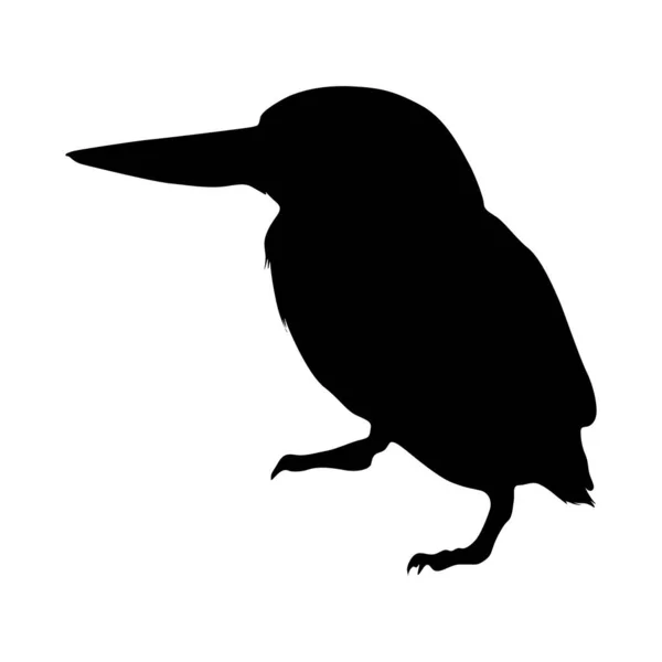 Stehender Eisvogel Coraciiformes Auf Einer Silhouette Die Feuchtgebieten Und Wäldern — Stockvektor