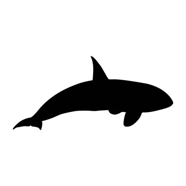 水泳キラークジラ Orcinus Orca 世界中の海と沿岸海域で発見されたサイドビューシルエットで 要素の印刷本 動物の本 動物のコンテンツのために使用するのが良い — ストックベクタ