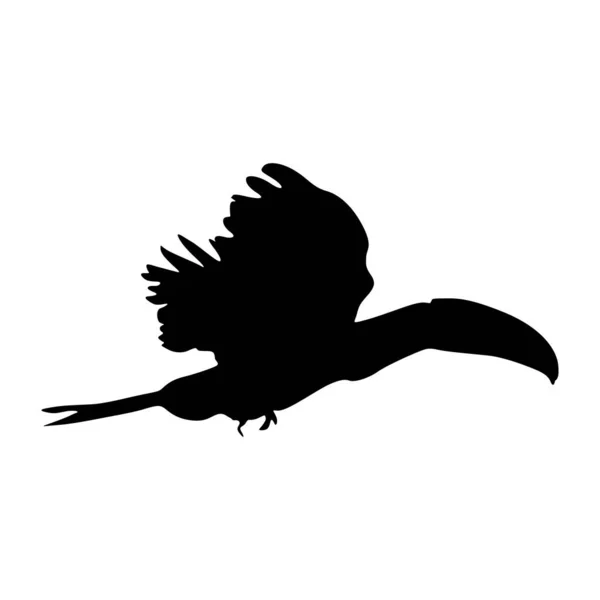 Flying Keel Billed Tucan Bird Ramphastos Sulfuratus Auf Einer Silhouette — Stockvektor