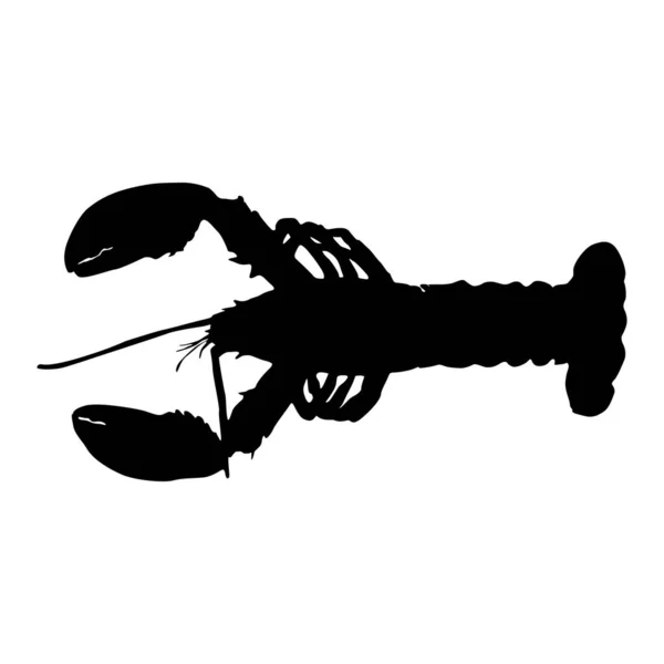 Lobster Pływacki Nephropidae Bocznej Sylwetce Widoku Znalezionej Mapie Północnego Oceanu — Wektor stockowy
