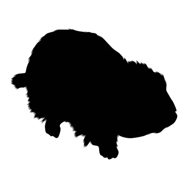 Walking Lemming Lemmus Lemmus Side View Silhouette Found Map North — стоковый вектор