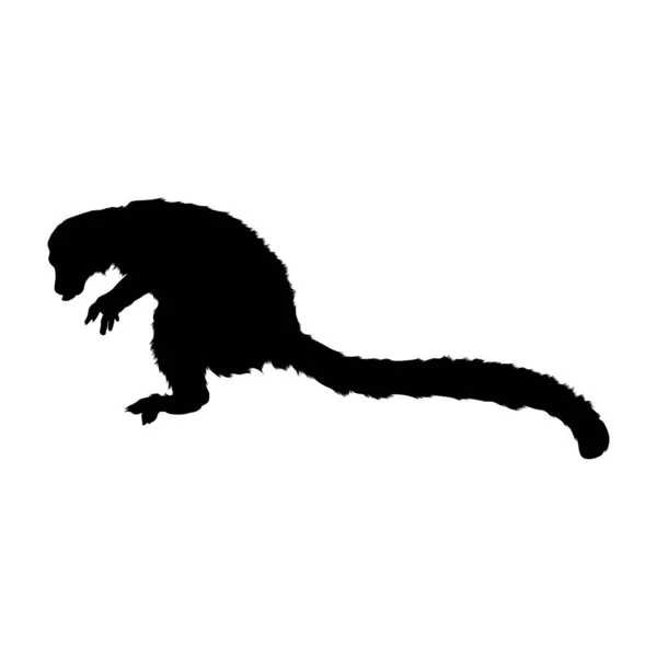 Jumping Lemur Lemur Catta Side View Silhouette Found Map Africa — 스톡 벡터