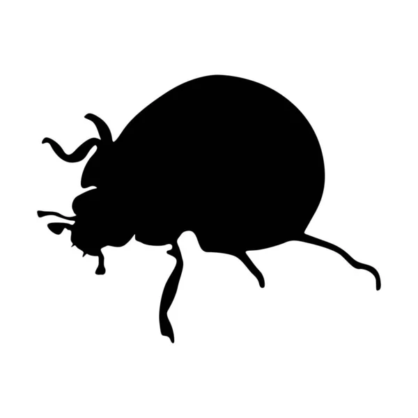 Μόνιμη Ladybug Coccinellidae Μια Πλευρά Προβολή Silhouette Βρέθηκαν Στο Χάρτη — Διανυσματικό Αρχείο
