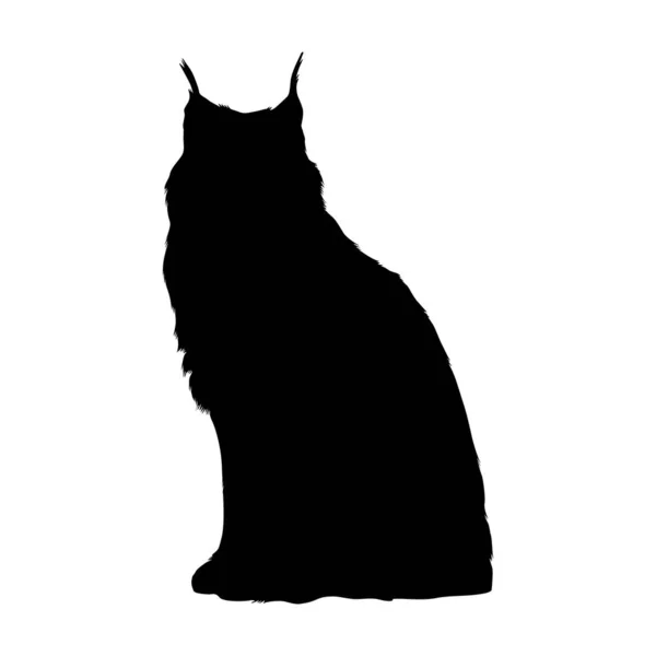 Sitter Lynx Cat Felis Lynx Sida Visa Silhuett Hittade Karta — Stock vektor