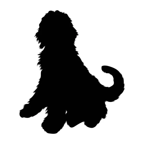 Sentado Labradoodle Dog Canis Lupus Uma Silhueta Vista Lateral Encontrada — Vetor de Stock