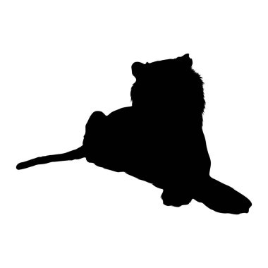 Oturan Malezya Kaplanı (Tigris Jacksoni) Asya Haritasında bulunan Cephe Görünümü Siluetinde. Element Yazdırma Defteri, Hayvan Kitabı ve Hayvan İçeriği İçin Kullanılabilir