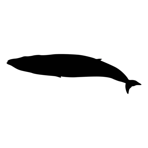 Natación Minke Whale Balaenoptera Acutorostrata Una Silueta Vista Lateral Encontrado — Vector de stock