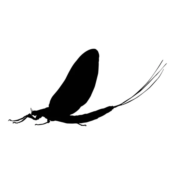 Flying Mayfly Ephemeroptera Een Zijaanzicht Silhouet Gevonden Kaart Van Hele — Stockvector