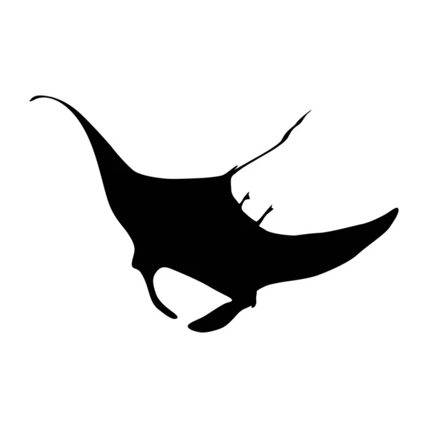 Úszás Manta Ray Manta Birostris Front View Silhouette Található Térkép — Stock Vector