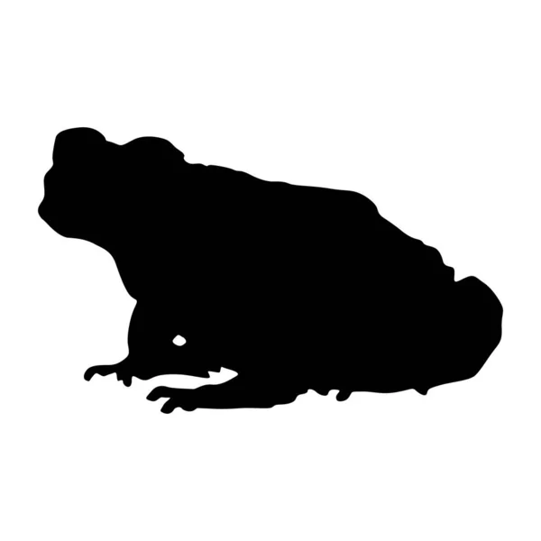 Sedící Mořská Ropucha Bufo Marinus Side View Silhouette Found Map — Stockový vektor