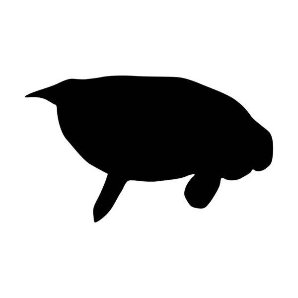 Úszás Manatee Trichechus Manatu Oldalnézetből Silhouette Található Térképen Florida Karib — Stock Vector