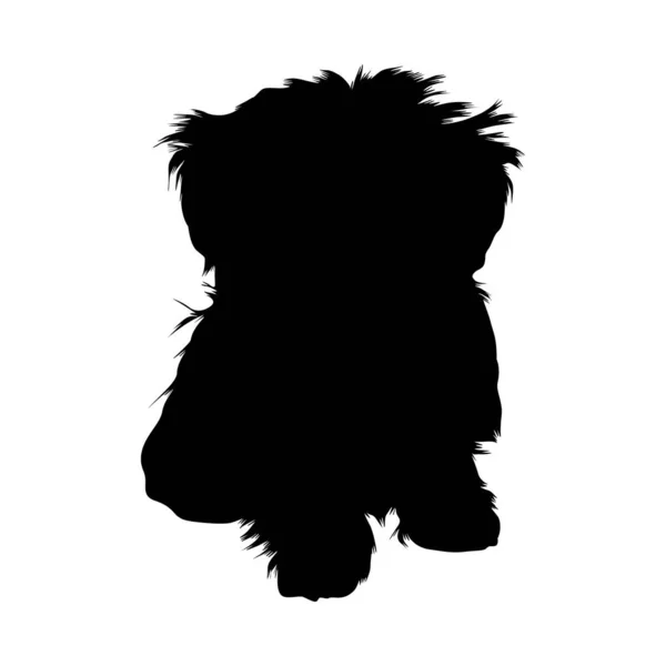 Sitter Maltesiska Hund Canis Lupus Front View Silhouette Hittad Karta — Stock vektor