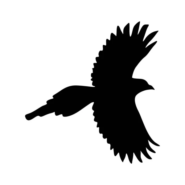 Flying Magpie Bird Pica Pica Een Zijaanzicht Silhouet Gevonden Kaart — Stockvector