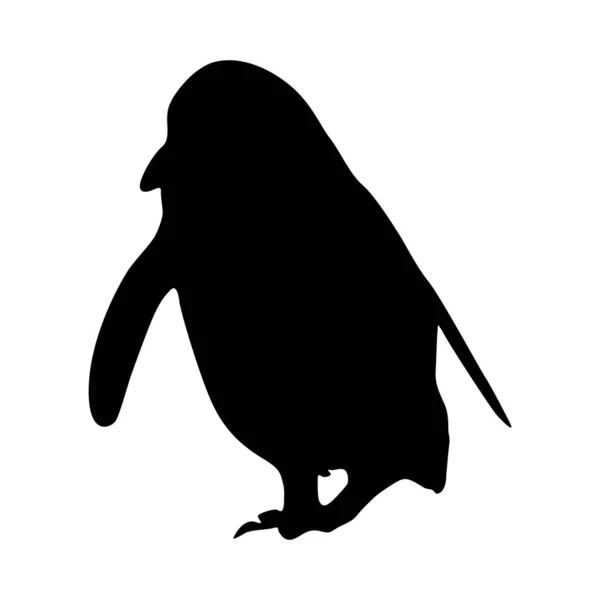 Walking Magellanic Penguin Spheniscus Magellanicus Front View Silhouette Found Map — Wektor stockowy