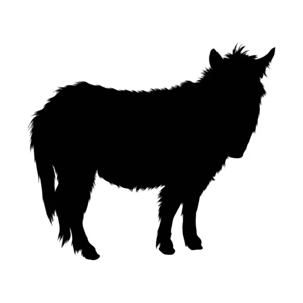 Стоячий Мул Equus Mule Side View Silhouette Found Map Africa — стоковий вектор