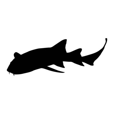 Free Free 220 Nurse Shark Svg SVG PNG EPS DXF File