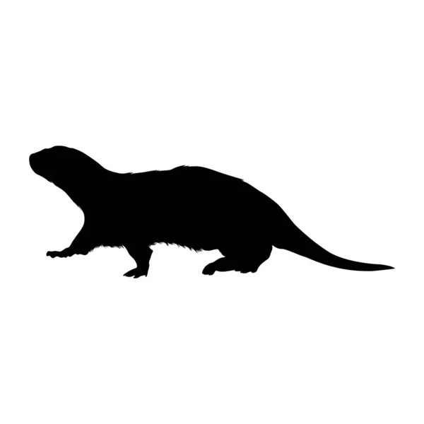 Otter Lutra Canadensis Standing Side View Silhouette Found Map All — стоковый вектор