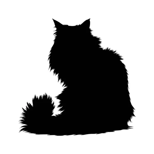 Norweski Kot Leśny Felis Catus Siedzący Widoku Przodu Sylwetka Znaleziona — Wektor stockowy
