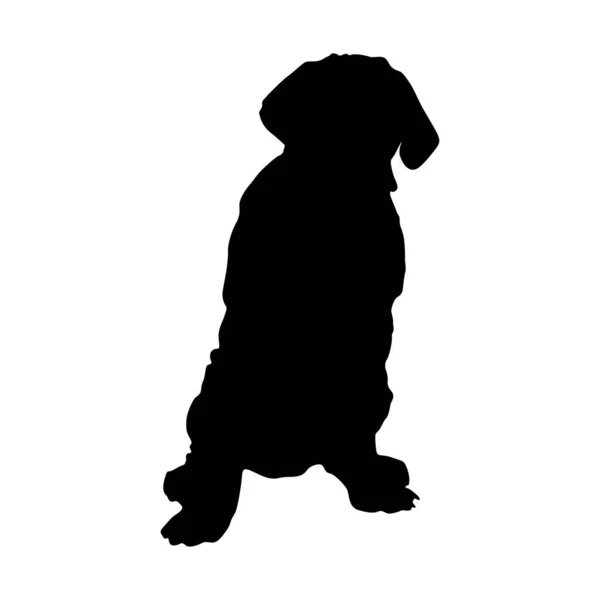 Neapolitan Mastiff Dog Standing Front View Silhouette Found Map Europe Stock Illustration