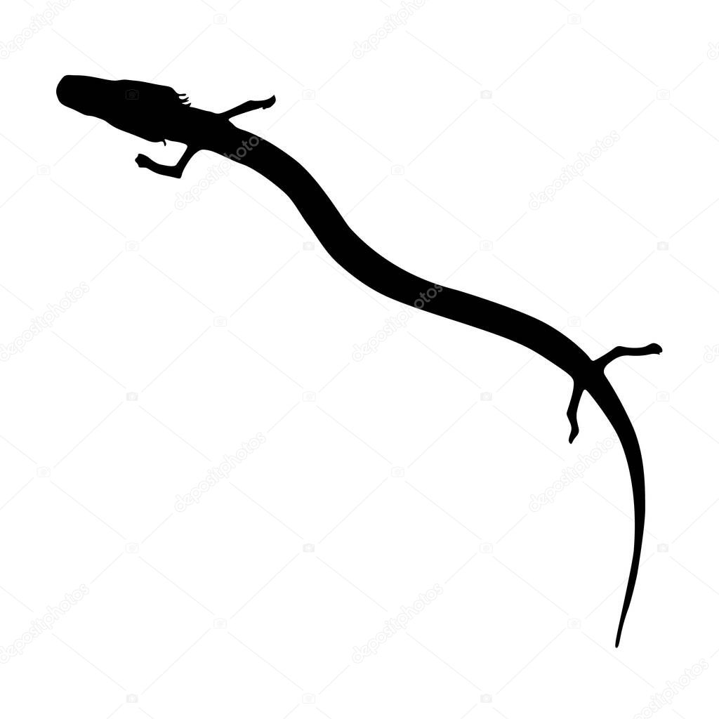 Olm (Proteus Anguinus) Swimming On a Upper View Silhouette Found In Map Of Europe. Good To Use For Element Print Book, Animal Book and Animal Content