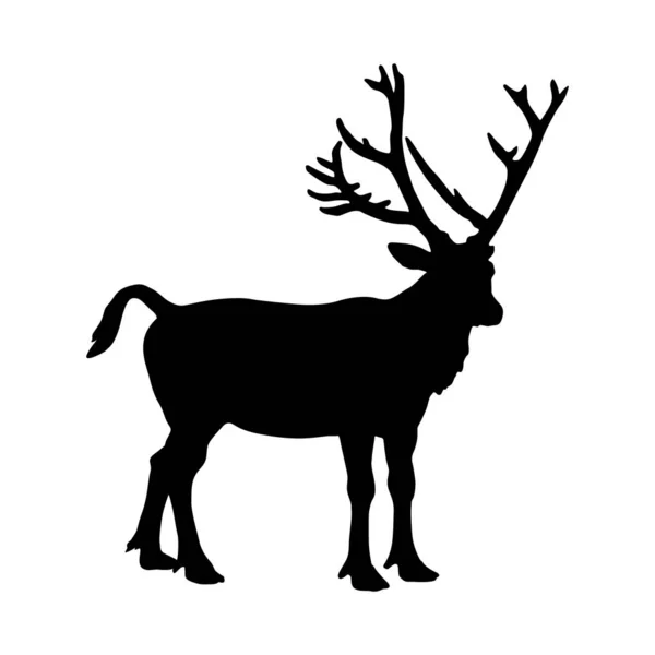 Pere Davids Deer Elaphurus Davidianus Oldalnézetből Nézve Sziluett Található Ázsia — Stock Vector