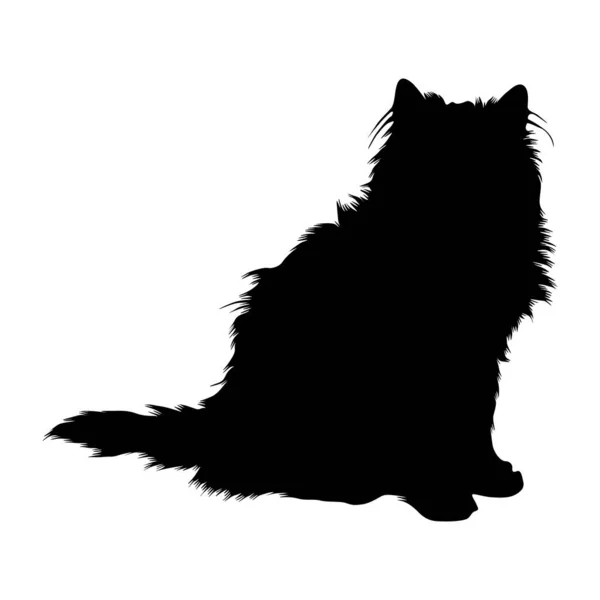 Persian Cat Felis Catus Sitting Front View Silhouette Found Map — Stock Vector