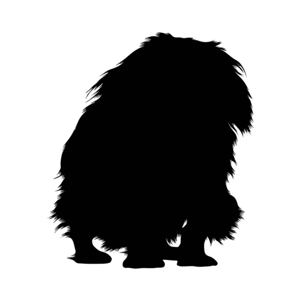 Perro Pekinés Canis Lupus Pie Una Silueta Vista Frontal Que — Vector de stock