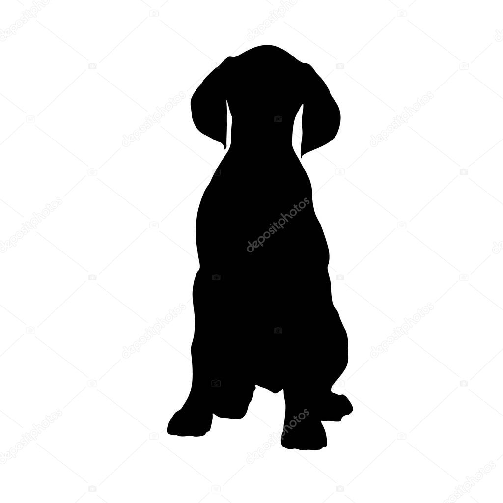 Pointer Dog (Canis Lupus) Sitting On a Front View Silhouette Found In Map Of Europe. Good To Use For Element Print Book, Animal Book and Animal Content