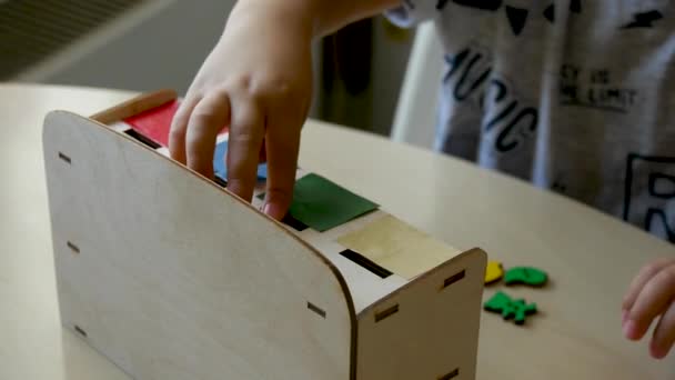 Autistico Bambino Raccoglie Puzzle Forme Colori Classe Primi Piani Colori — Video Stock