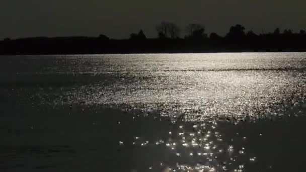 Zonsondergang Wordt Weerspiegeld Het Wateroppervlak Van Het Meer — Stockvideo