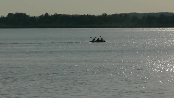 Tres Personas Kayak Nadan Lago Atardecer — Vídeo de stock