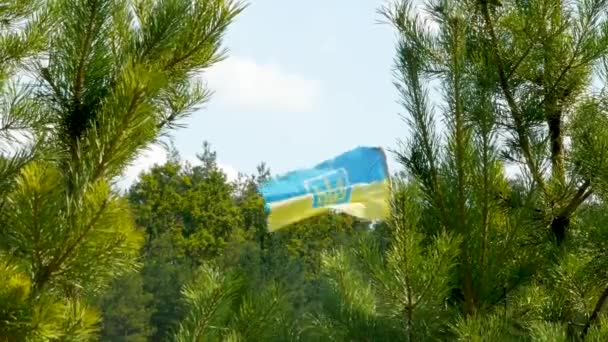 Ukrainische Flagge Mit Einem Wappen Zwischen Kiefern Und Tannen Nahaufnahme — Stockvideo