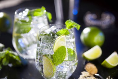 Mojito kokteyller closeup. Malzemeler ve bar gereçleri. Önden görünüm.