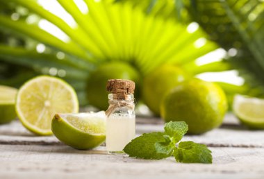 Kireç uçucu yağ yeşil yaprakları arka plan üzerinde