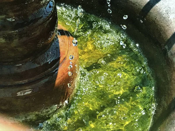 Durgun bir çekimde su damlaları yakalandı.