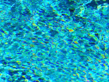 bir yüzme havuzunda.