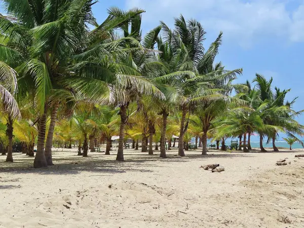 Dominik Cumhuriyeti Boca Chica olarak.