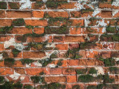 Üzerinde kalıp olan eski bir tuğla duvarın fotoğrafı. Arka plan dokusu