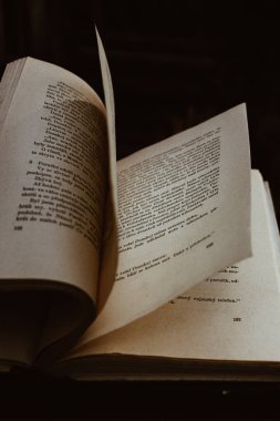 rüzgarda eski kitap
