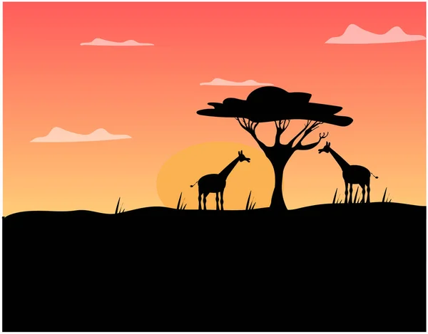 Иллюстрированный африканский закат, когда два жирафа едят с дерева в саванне — стоковый вектор