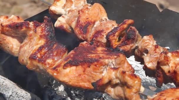 Das Fleisch Wird Auf Kohlen Angebraten Und Die Hitze Ist — Stockvideo