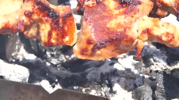 Viande Est Frite Sur Les Charbons Tourne Barbecue Sur Nature — Video