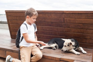 Avrupalı görünümlü bir çocuk sokak köpeğinin yanındaki bankta oturur ve onu elleriyle besler.