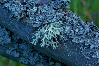 eski tuğla ve taşlar, inşaat sonrası enkaz