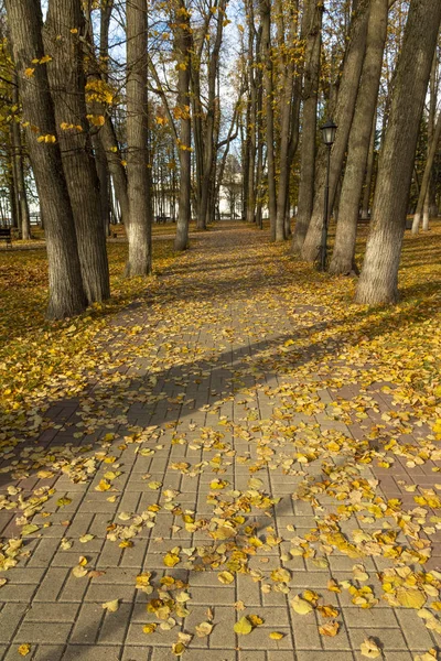 Sonbahar Park öğlen