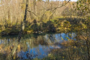 Ugra Milli Parkı. Rezerv. Kaluga bölgesi. Rusya
