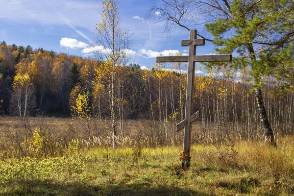 Ugra Milli Parkı. Rezerv. Kaluga bölgesi. Rusya
