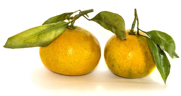 Beyaz bir arka plan üzerinde izole mandalina. Rusya